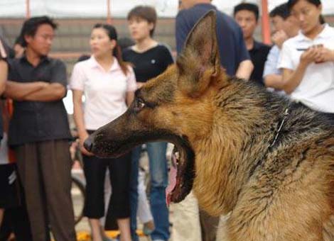 澳门威尼斯人官网